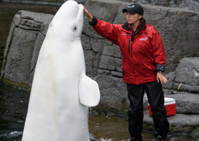 Vancouver Aquarium