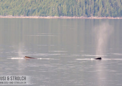 Inside Passage