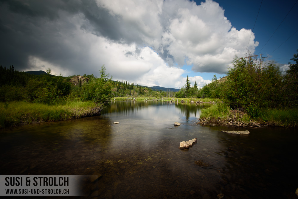 6. Tag: Frenchman Lake – Whitehorse