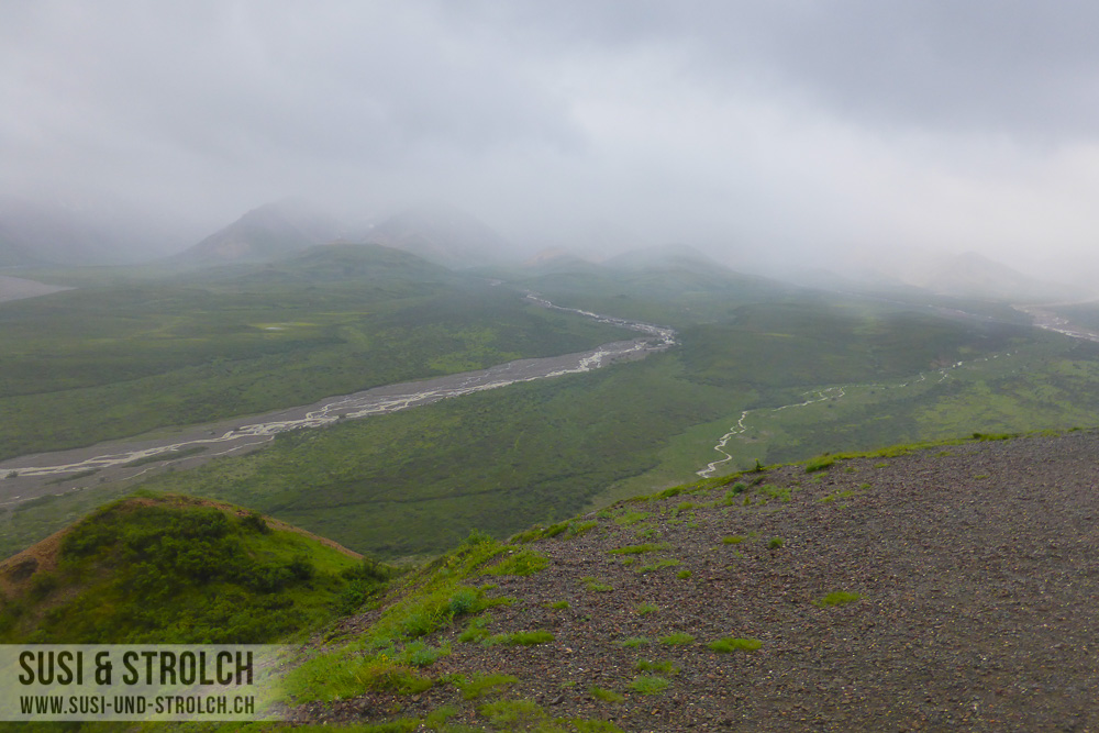 11. Tag: Denali National Park