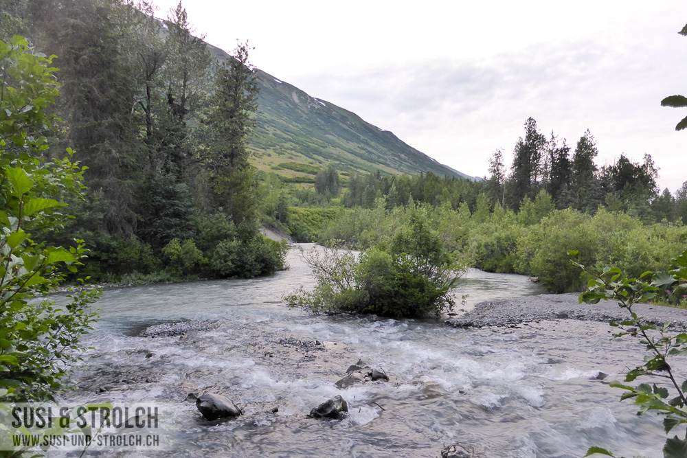 12. Tag: Denali – Bertha Creek