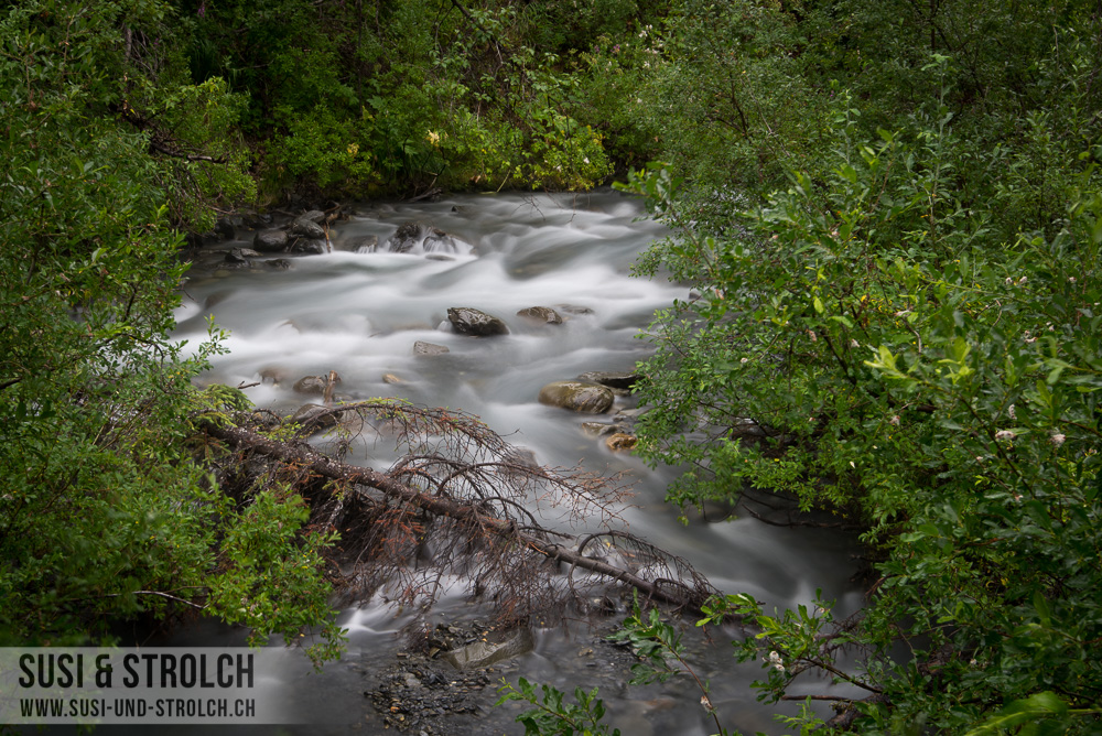 13. Tag: Bertha Creek – Soldotna