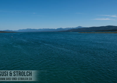 Tagish Lake