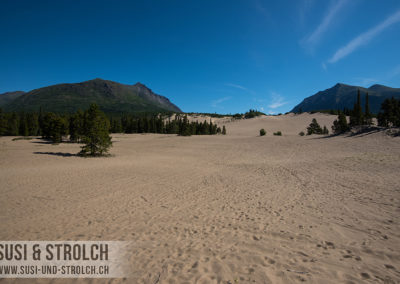 Carcross Desert