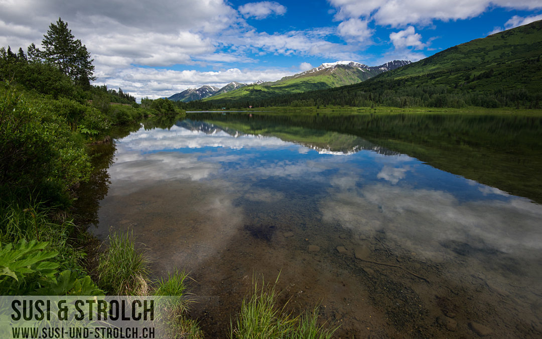 2. Tag: Anchorage – Forest Acres