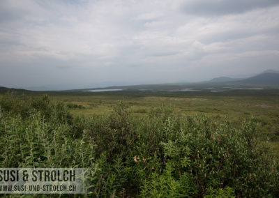 Denali Highway