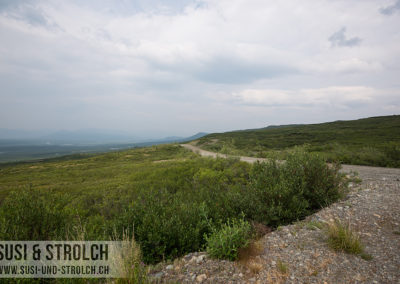 Denali Highway