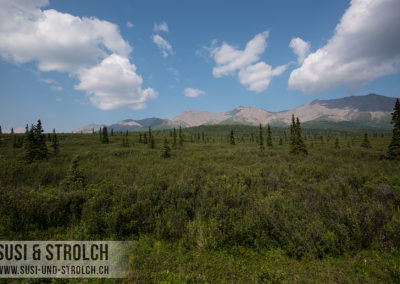 Denali Nationalpark