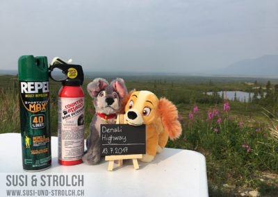 Mückenspray und Bärenspray - immer mit dabei