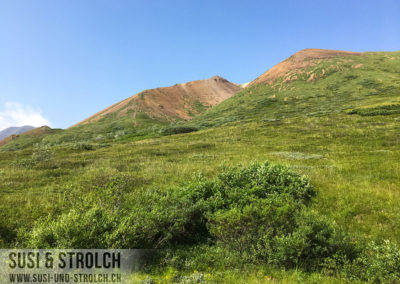 Denali Nationalpark