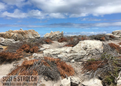 Betty's Bay