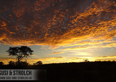 Sonnenuntergang im Busch